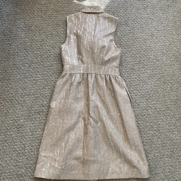 Vintage hunter Dixon brocade lined dress in silver & blush size 2 - Picture 7 of 14